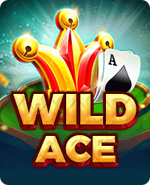 Wild Ace slot game — play on PK888